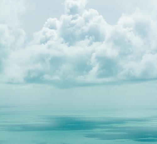 romello-williams-384006-unsplash