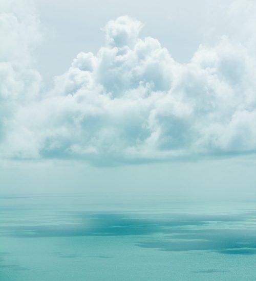 romello-williams-384006-unsplash